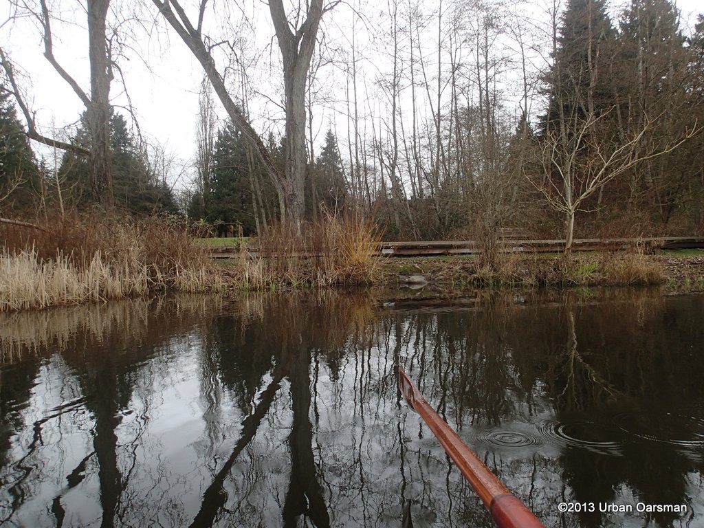 Deer Lake Afternoon010