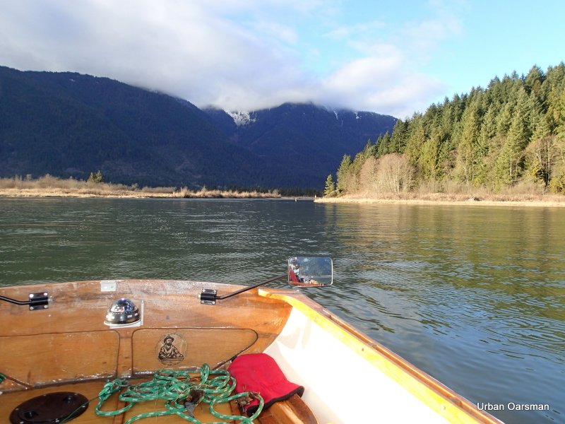 Widgeon Creek High Tide Row