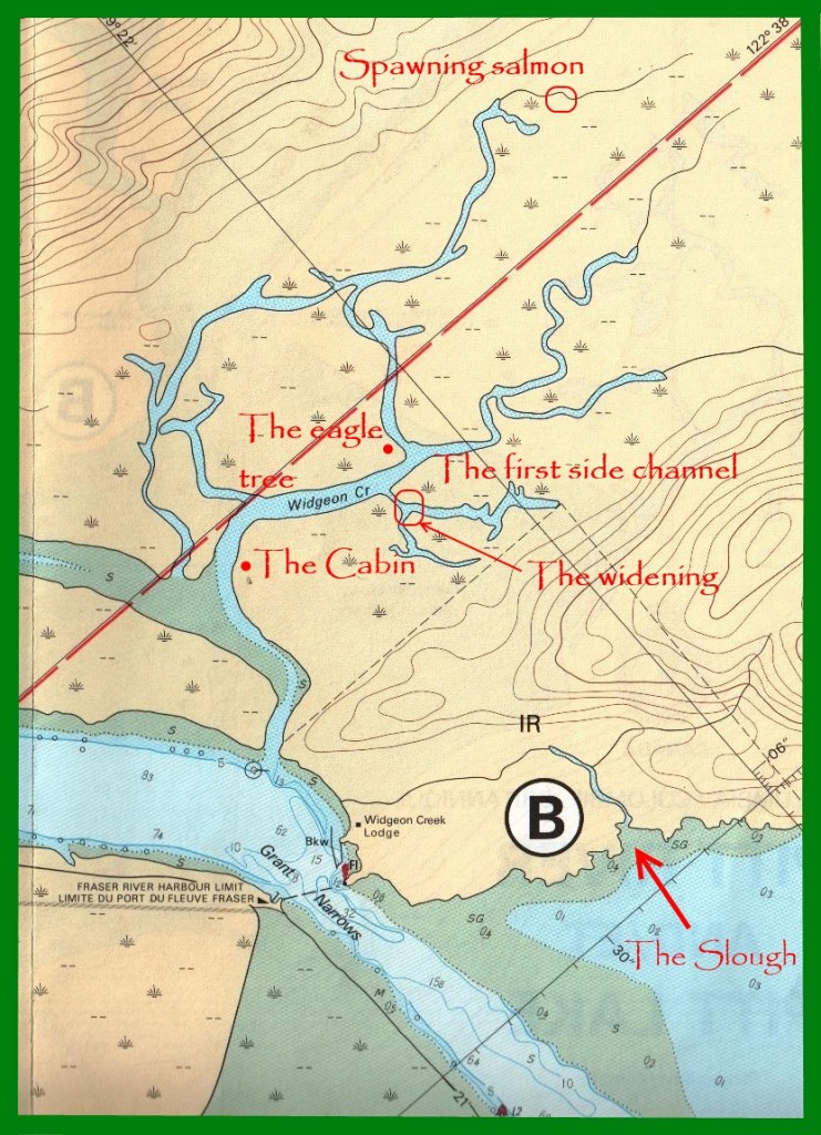 Widgeon Creek Chart 2