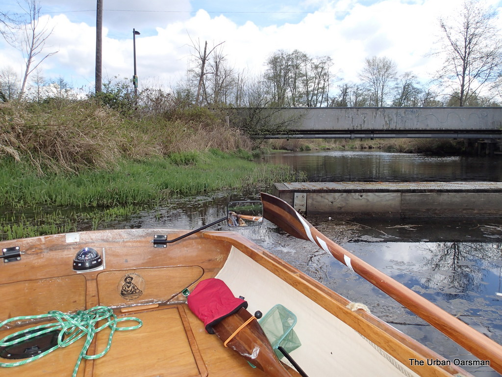 The Urban Oarsman returns to Still Creek