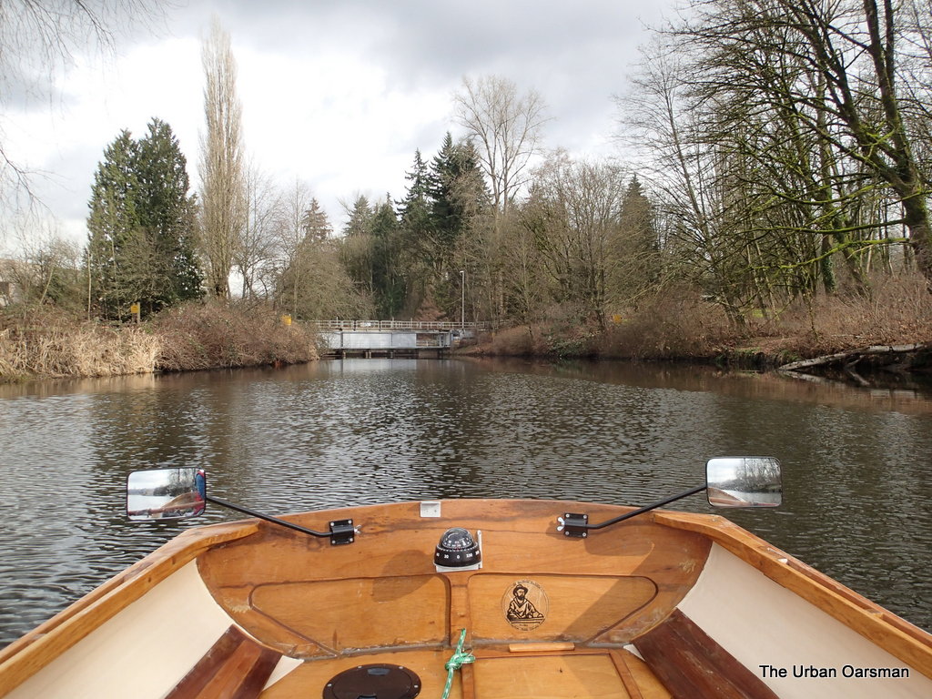 The Urban Oarsman Rows Burnaby lake