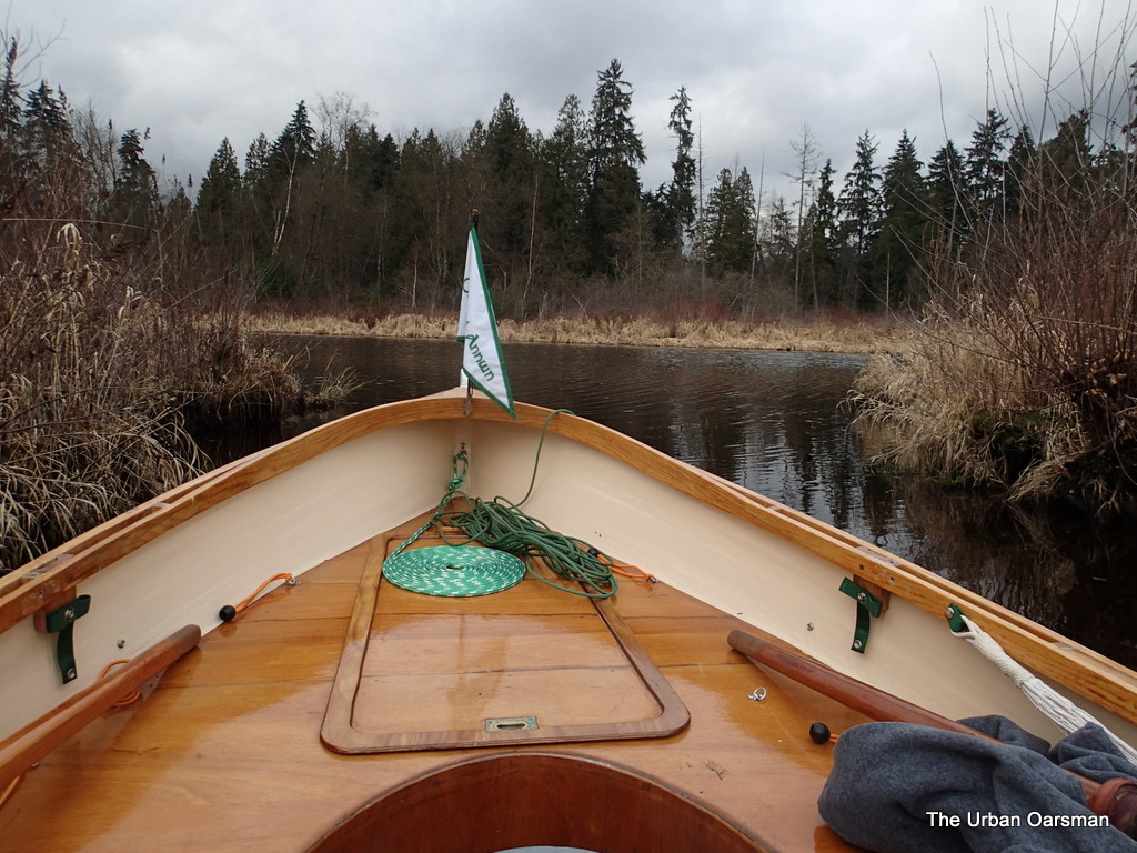 The Urban Oarsman Rows Burnaby lake