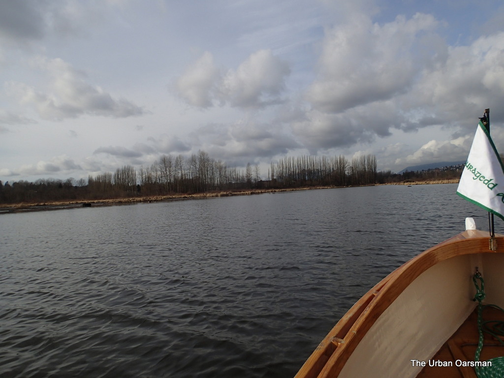 The Urban Oarsman Rows Burnaby lake