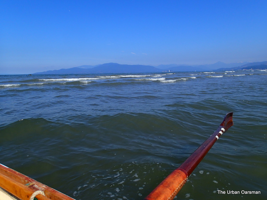 The Urban Oarsman row to the North Arm of the Fraser from Hollyburn Sailing Club.