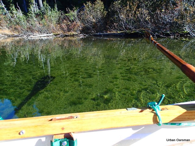 Urban Oarsman rows Callaghan Lake