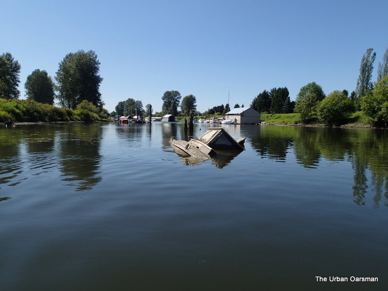 The Urban Oarsman rows Gwragedd Annwn off the chart Exploring the Alouette, past the Neaves Road Bridge