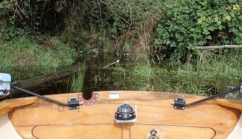 The face at the end of McKenzie Creek channel. North Alouette River Row