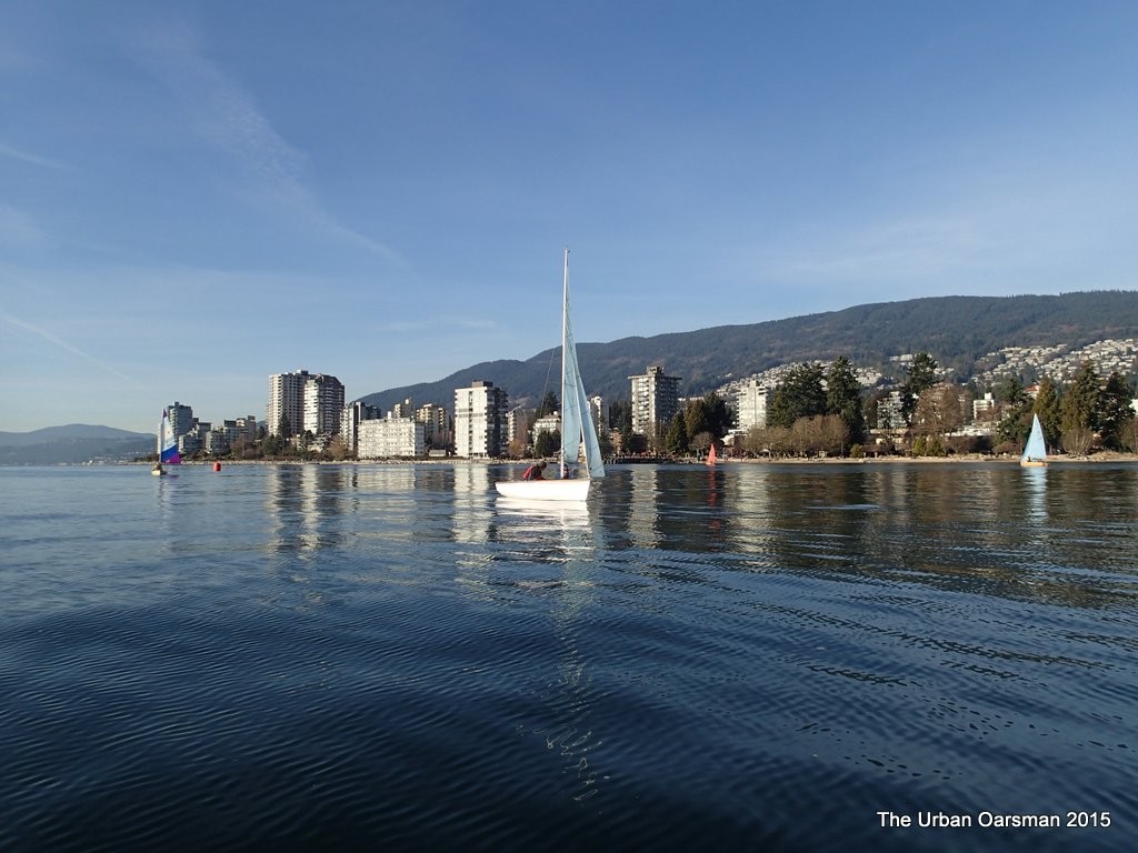 The Urban Oarsman, the First Row of 2015