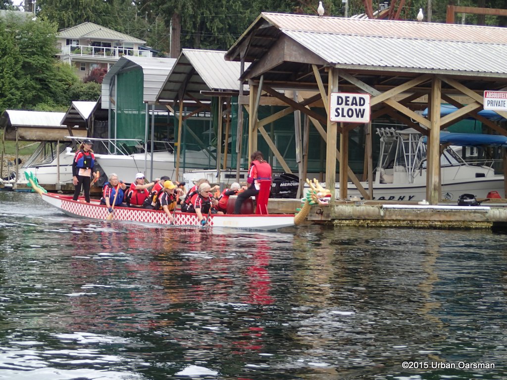 The Urban Oarsman rows at Pender Harbour Days
