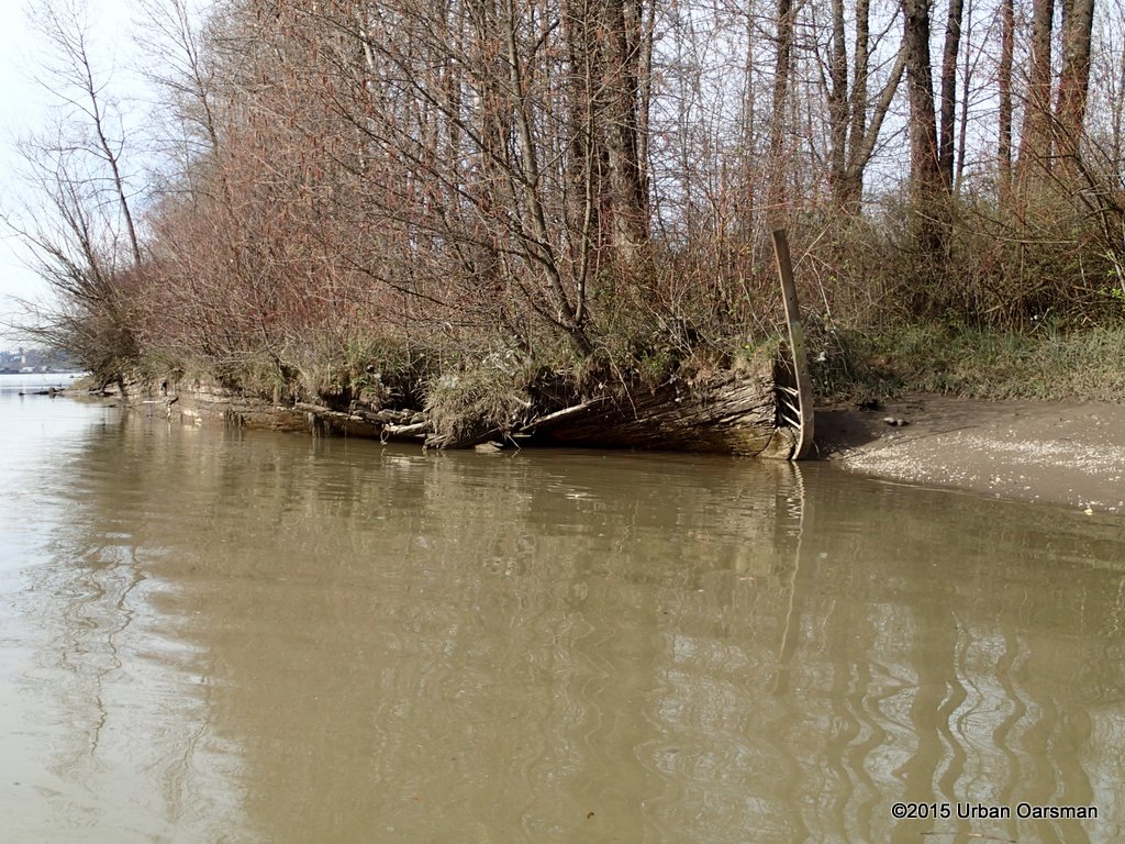 Sapperton Channel Row