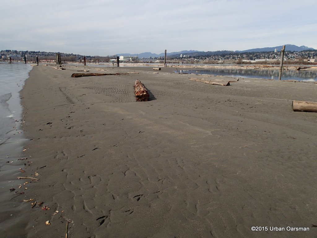 Sapperton Channel Row