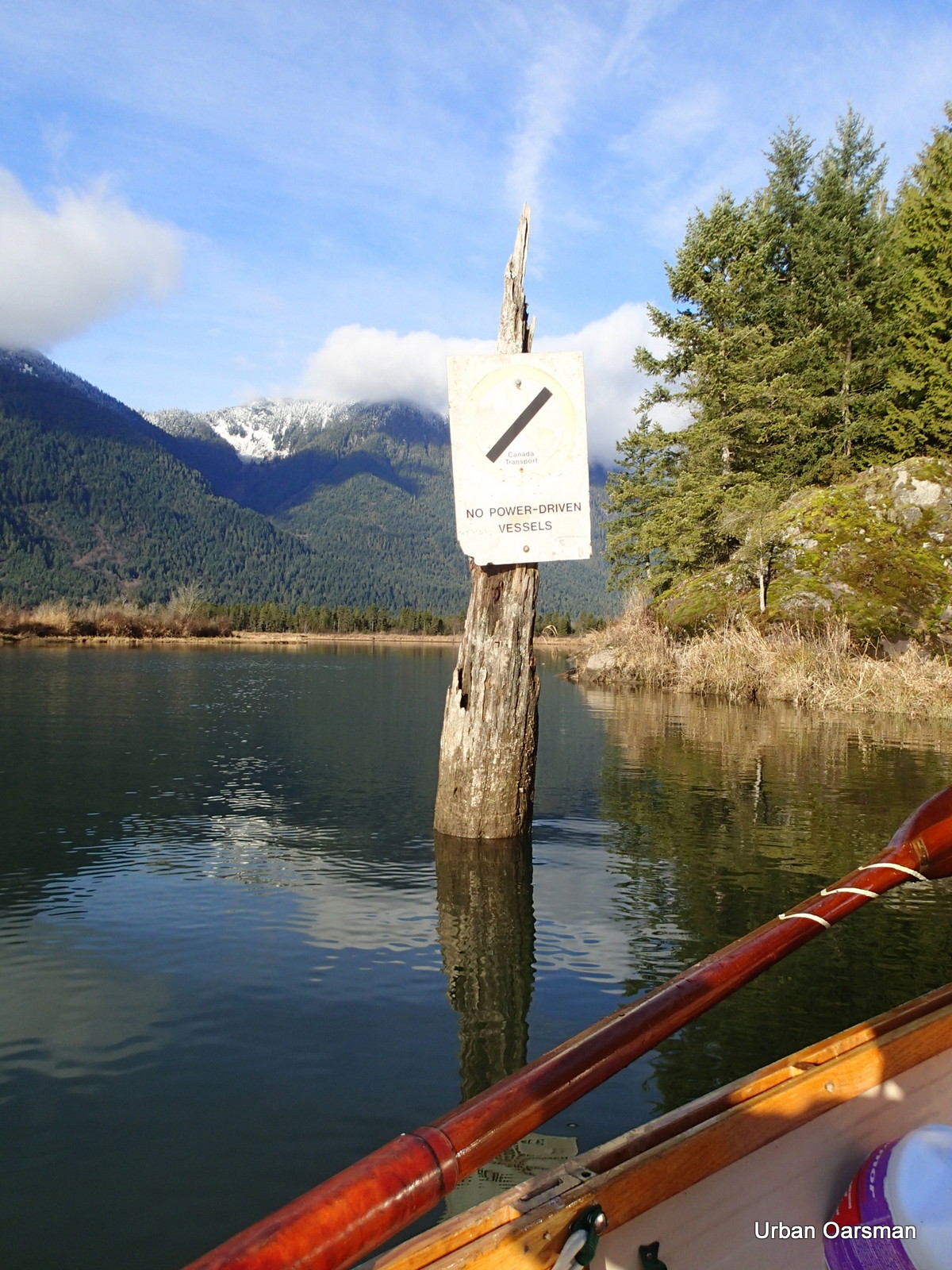 Widgeon Creek High Tide Row