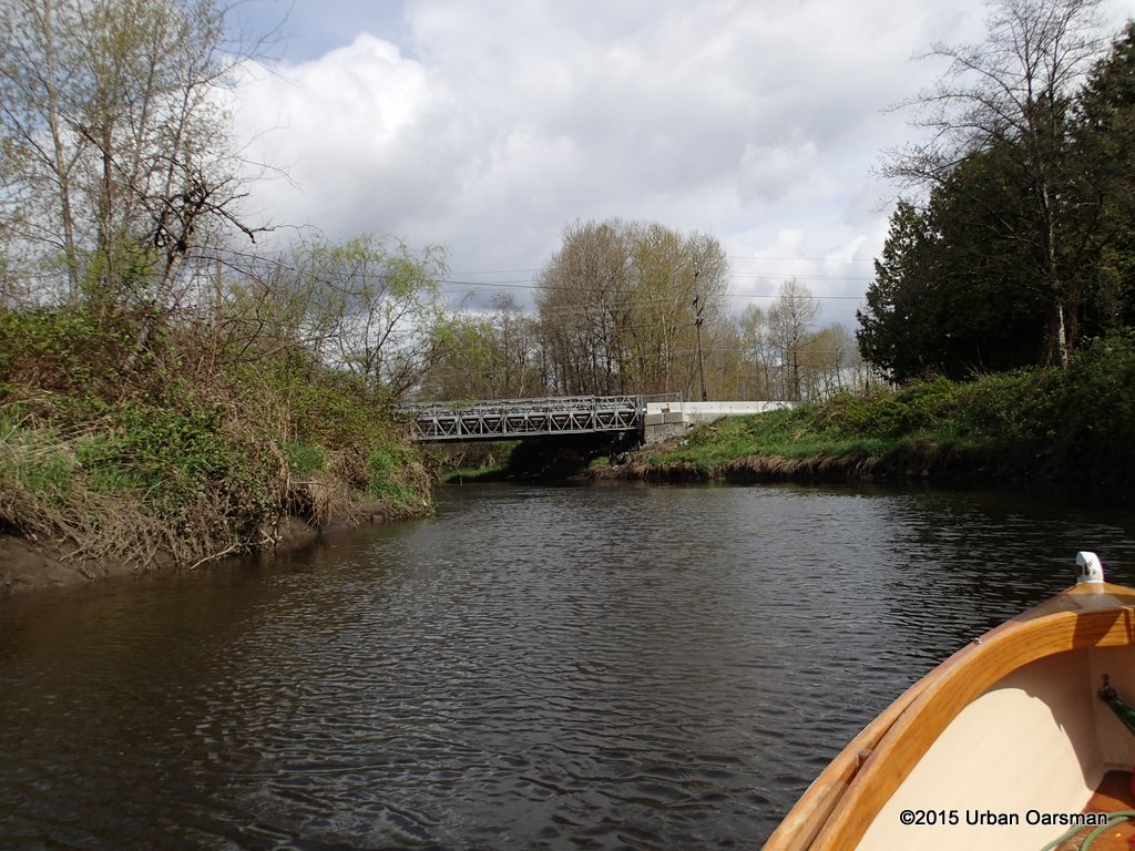 Brunette River/Sapperton Channel Row