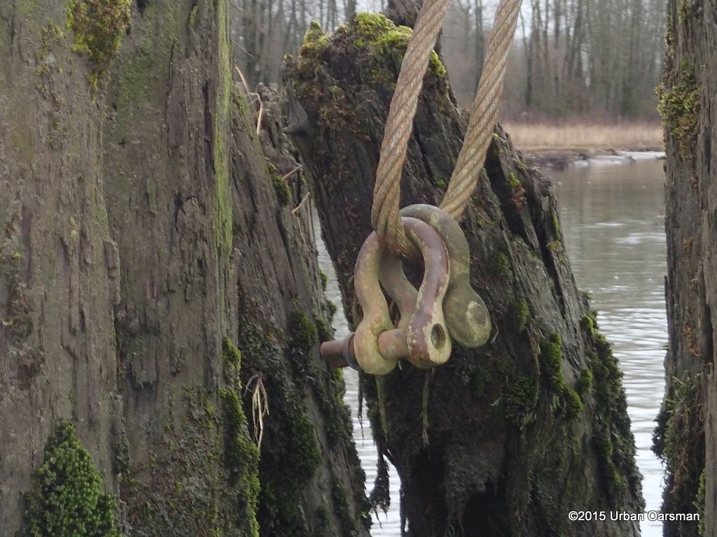 DeBoville Slough Row