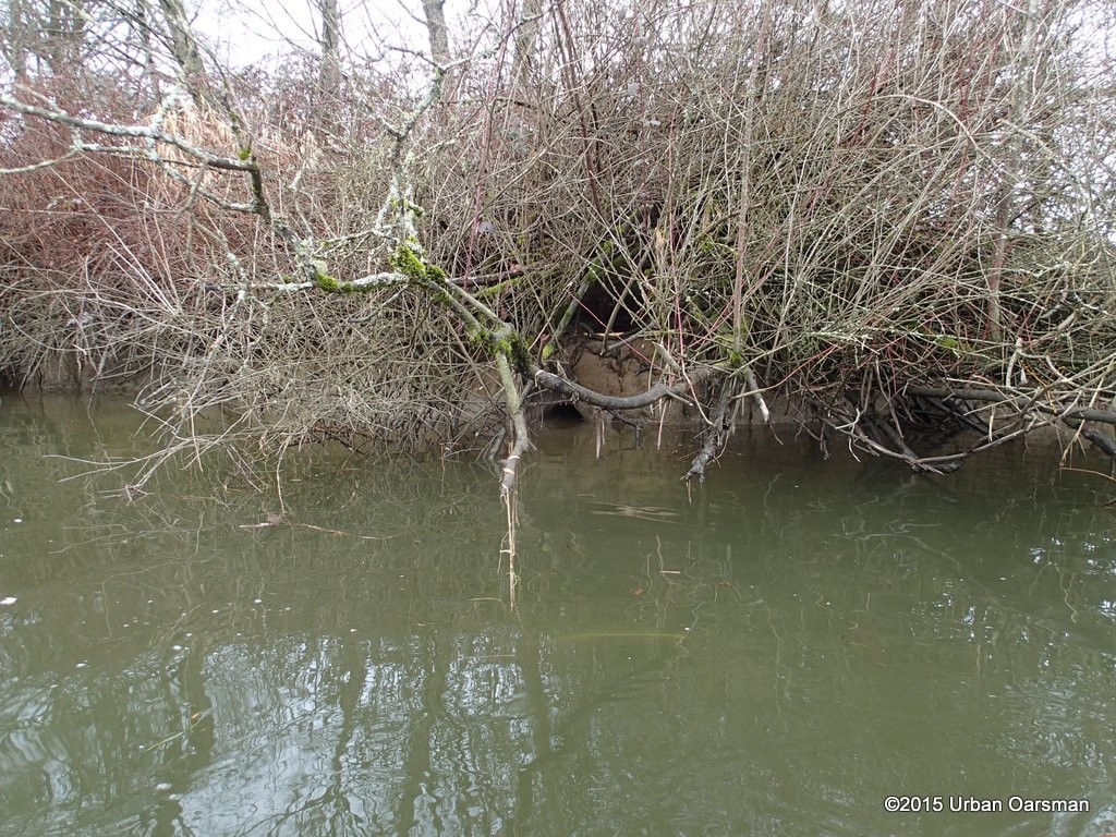 DeBoville Slough Row