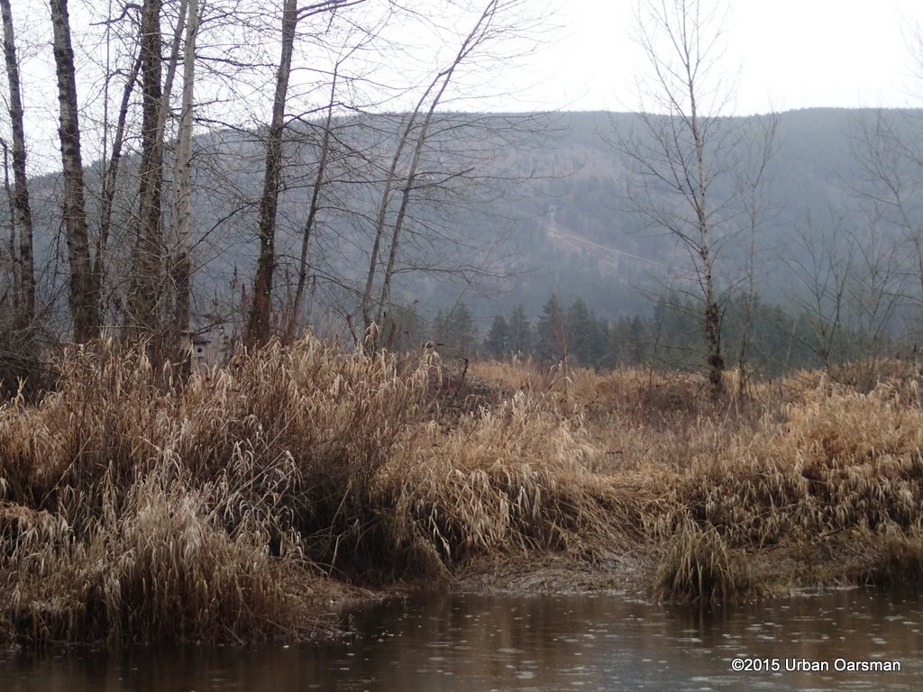 DeBoville Slough Row