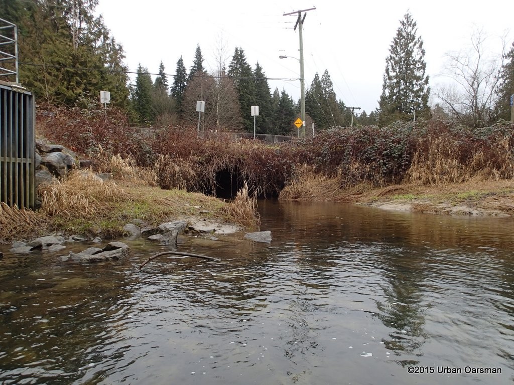 DeBoville Slough Row