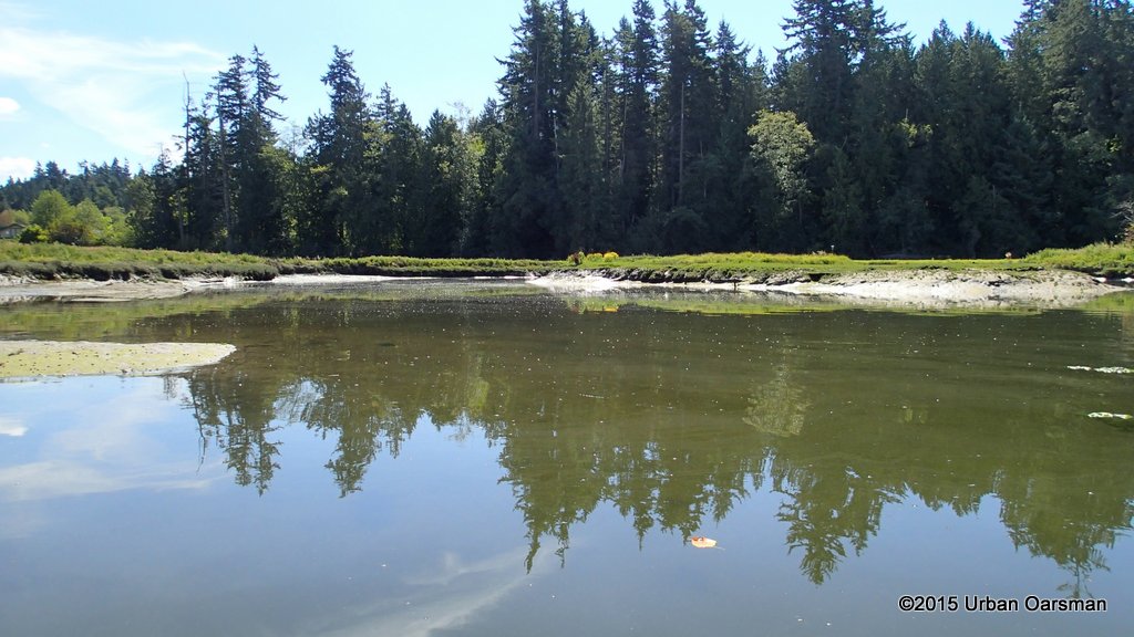 Nicomekl River Row