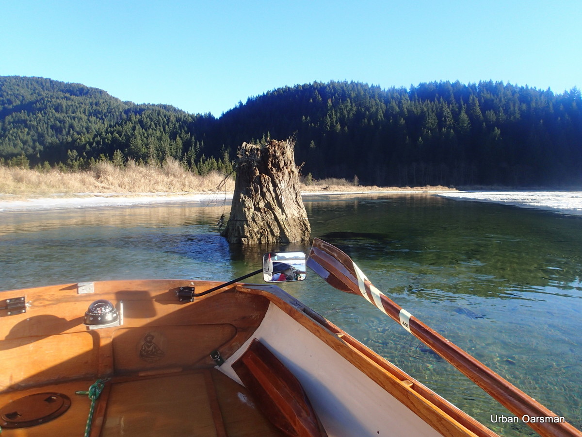 The Urban Oarsman Rows Widgeon Creek, Both Forks