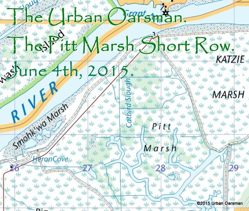 The Urban Oarsman, The Pitt Marsh Row