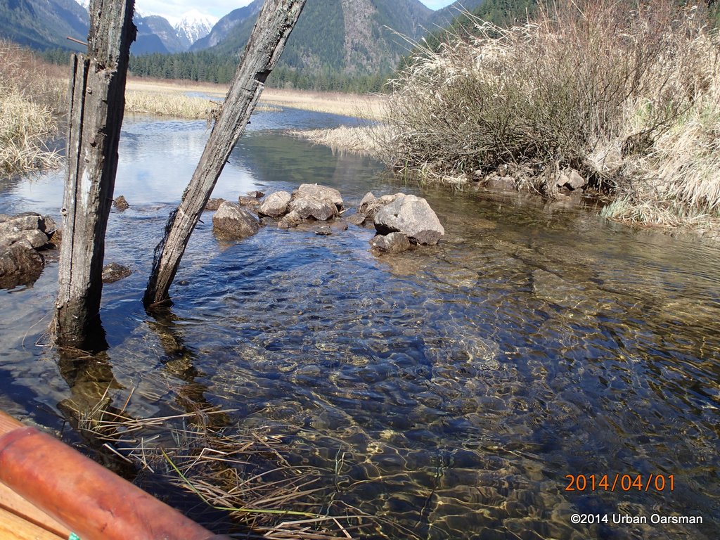 Widgeon Creek High Water Row