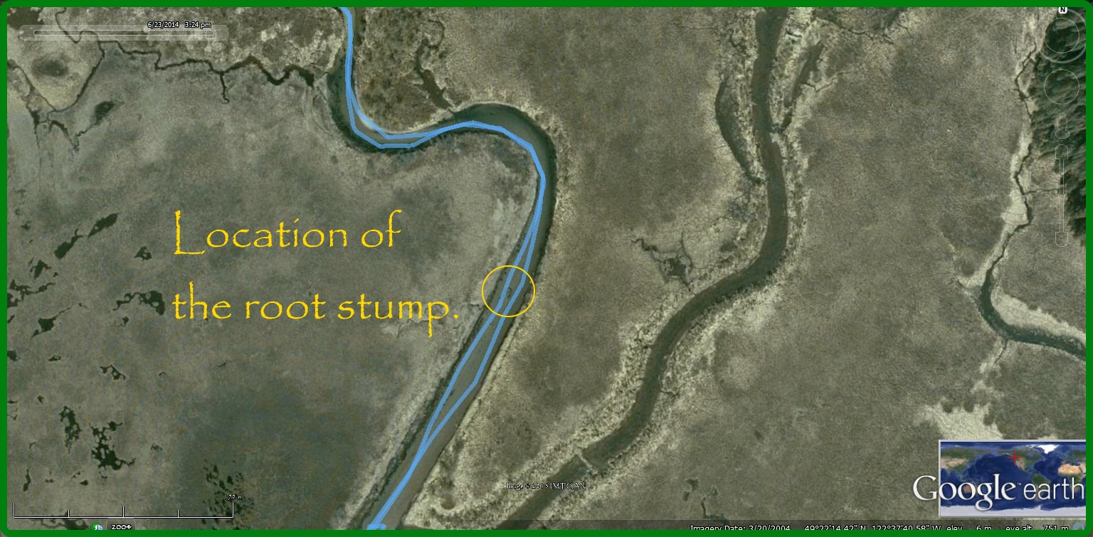 Location of stump2